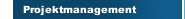 Projektmanagement