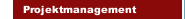 Projektmanagement